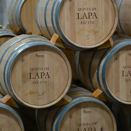Quinta Da Lapa Affittacamere *