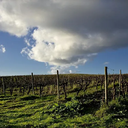 金塔达拉帕宾馆 Manique do Intendente