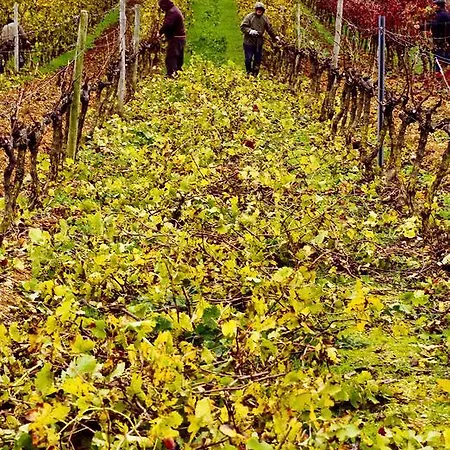 招待所 金塔达拉帕宾馆 Manique do Intendente