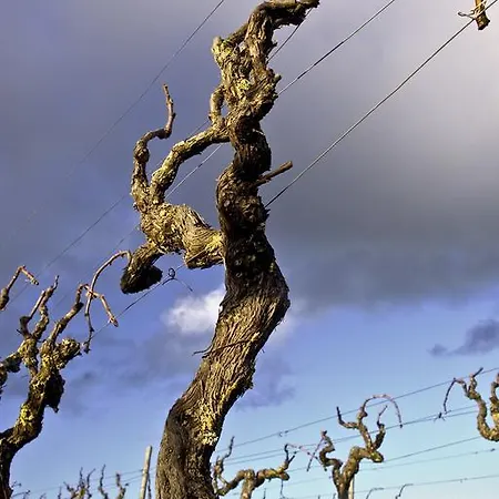 Vendégház Quinta Da Lapa Manique do Intendente